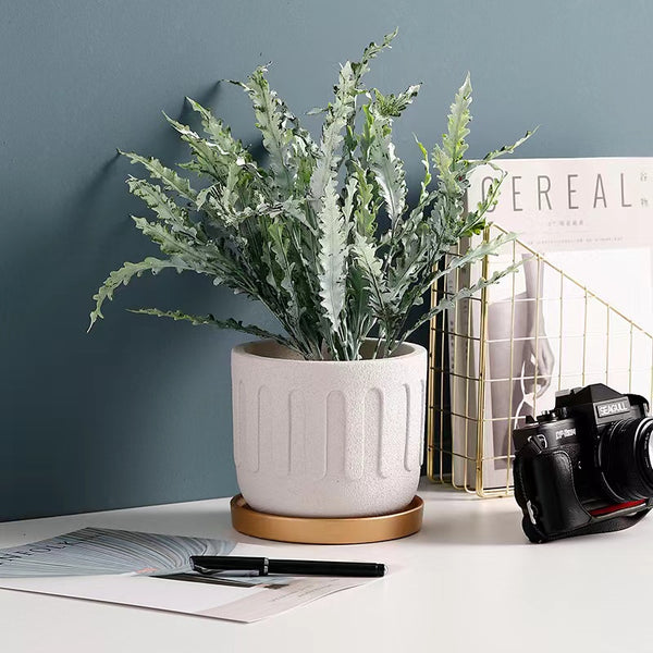 Ceramic Indoor/Outdoor Planters