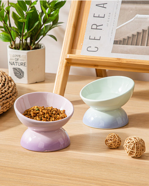 Elevate Mealtimes with Rainbow Ceramic Pet Bowl