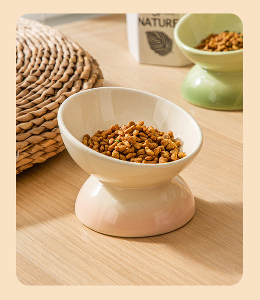 Elevate Mealtimes with Rainbow Ceramic Pet Bowl