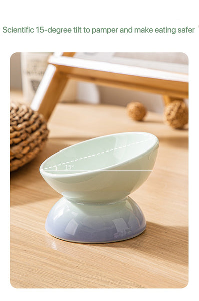 Elevate Mealtimes with Rainbow Ceramic Pet Bowl