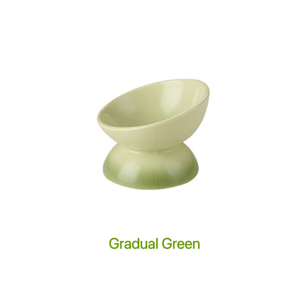 Elevate Mealtimes with Rainbow Ceramic Pet Bowl