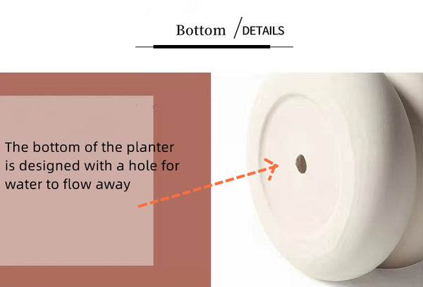 Dount Ceramic Planters